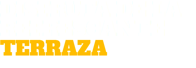 DISFRUTA DE LA REFRESCANTE TERRAZA.